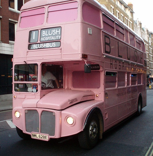 Photo:  pink double decker bus